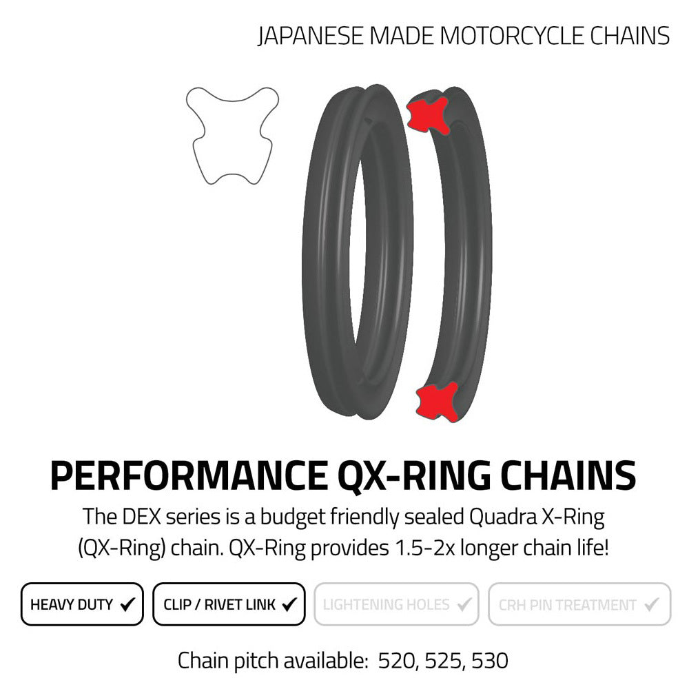 EK 520 QX-Ring Gold Chain 120L