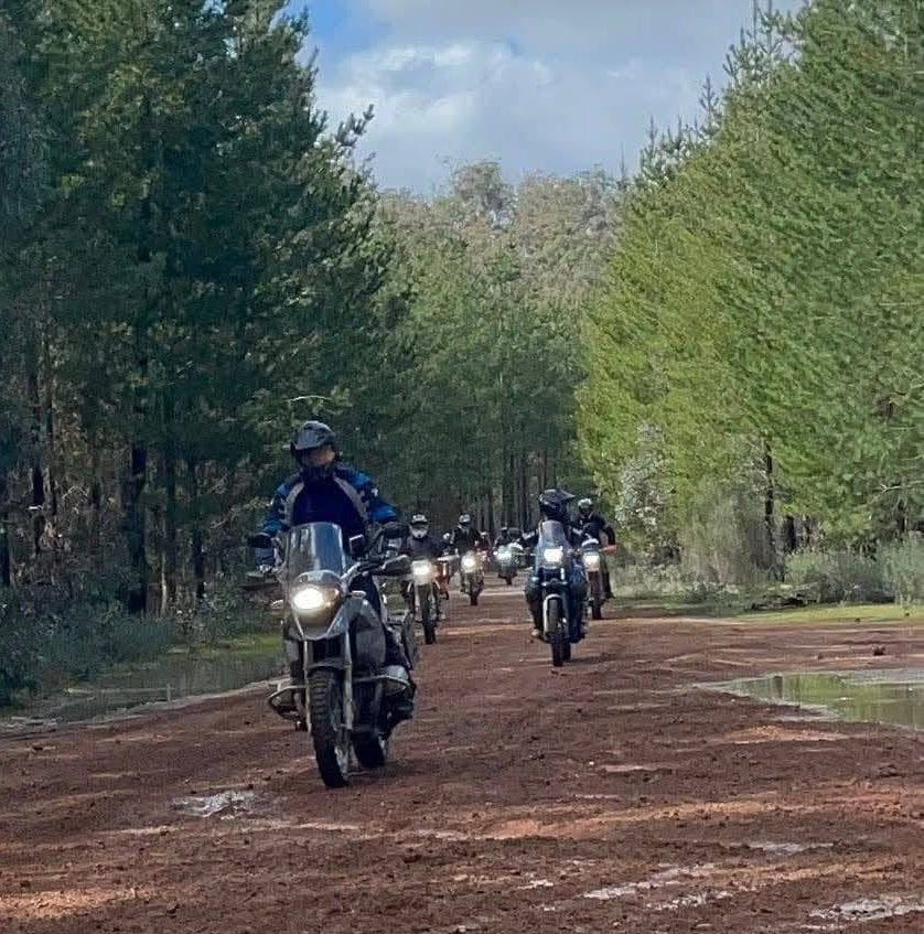 The Best of the South West Tour