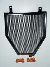 Load image into Gallery viewer, BMW K1600 B / GT / GTL 2011-2023 Radiator Guard Only