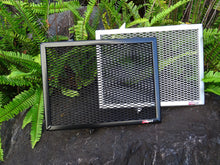 Load image into Gallery viewer, Triumph Trident 660 2021-2023 Radiator Guard