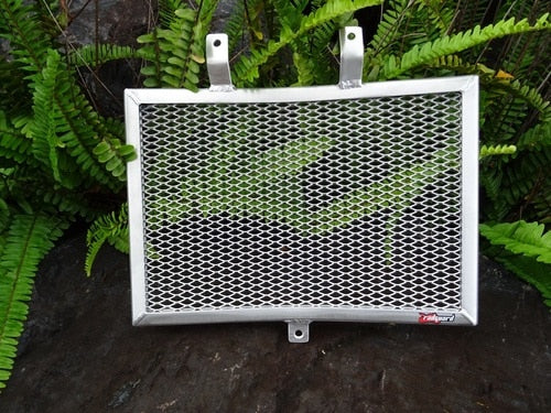 Harley Davidson Pan America 2020-2023 Radiator Guard