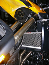 Load image into Gallery viewer, BMW F800GS 2008-2012 Radiator Guard