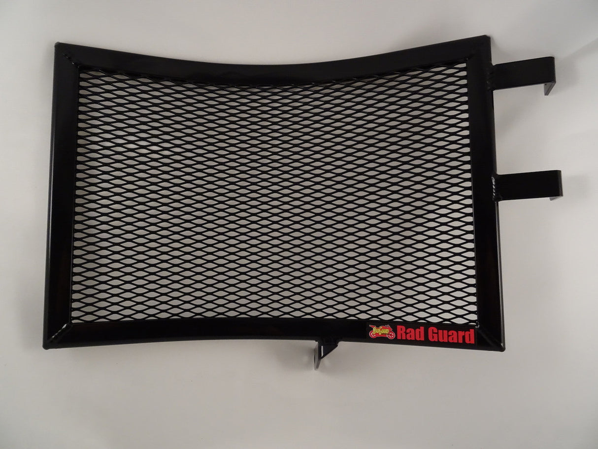 Yamaha MT-10 Radiator Guard ONLY 2016-2021