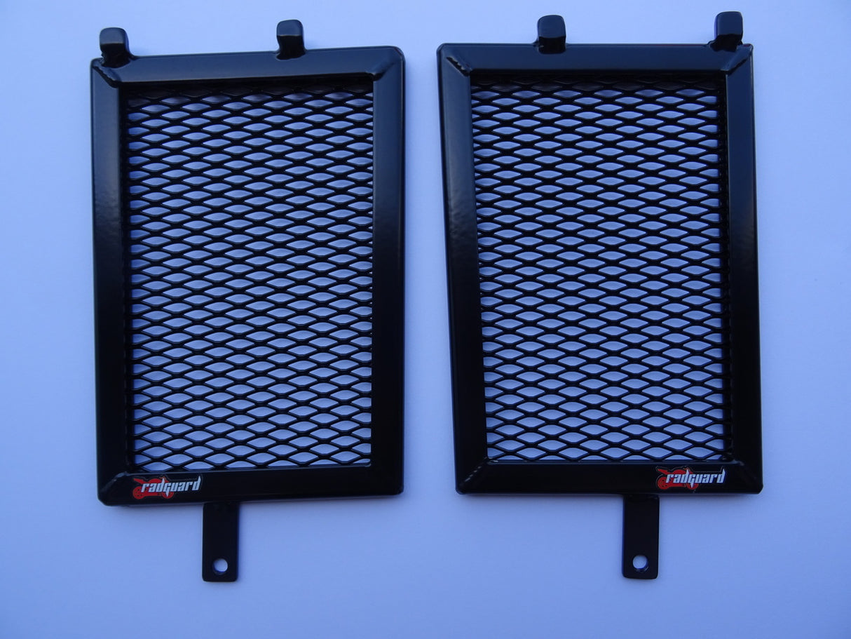 BMW R1250GSA 2019-2023 Radiator Guard