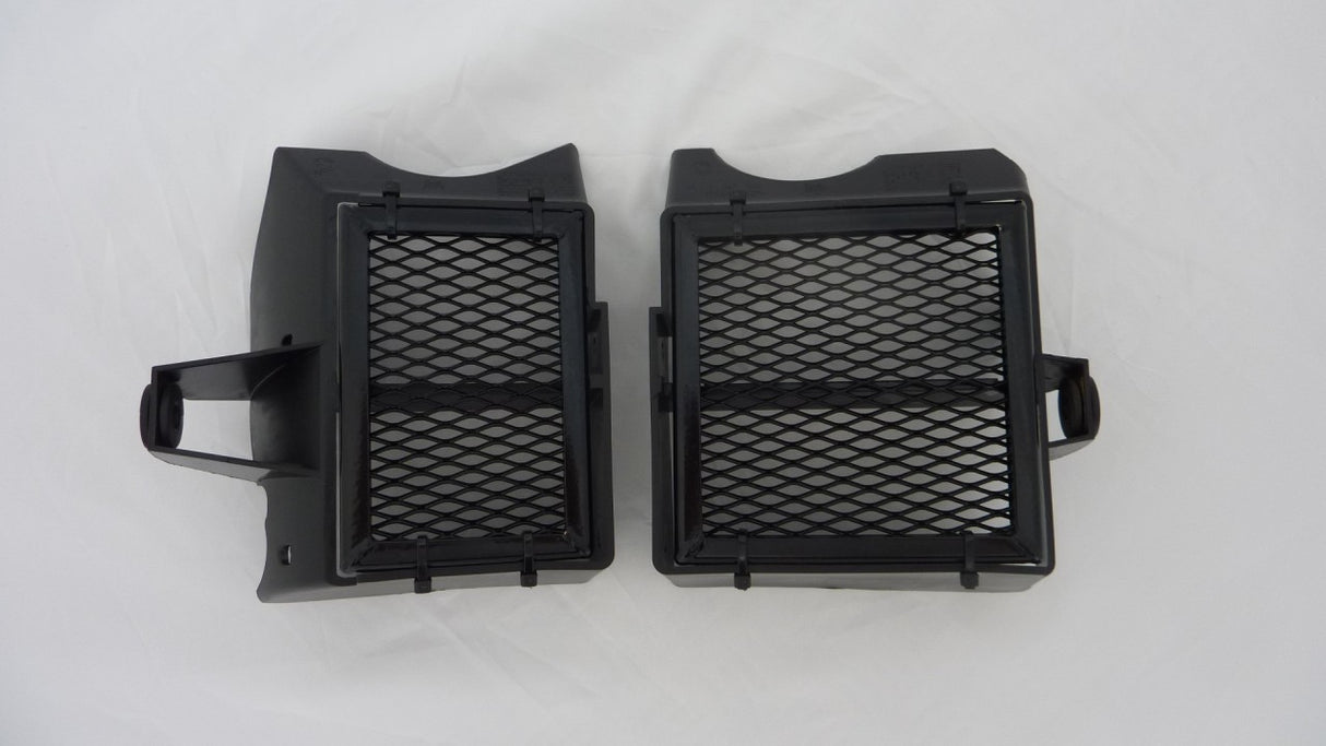 BMW G650GS 2008-2017 Radiator Guard Set