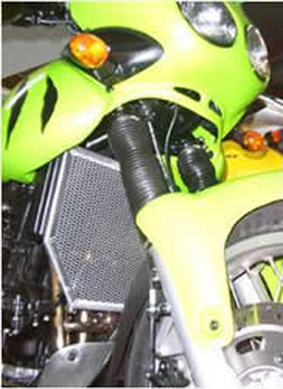 Triumph Tiger 955i 2000-2006 Radiator & Oil Guard