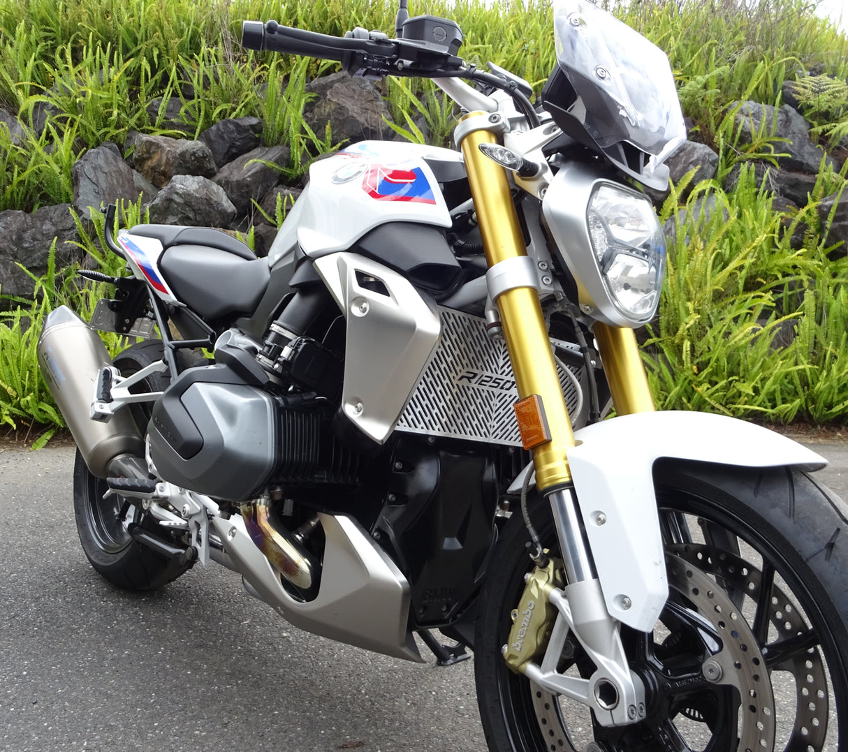 BMW R1250 R 2019-2023 Radiator Guard
