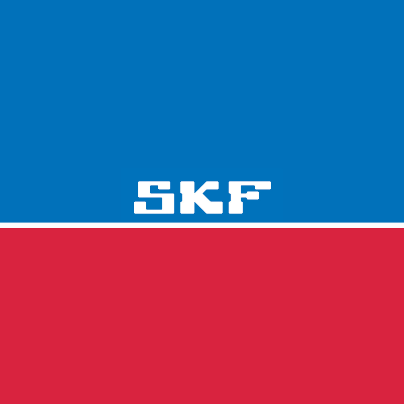SKF Fork Seals