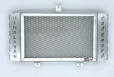 Royal Enfield Himalayan 450 Radiator Guard 2024-25