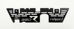 KTM 390 Adventure R 2025-2026 Engine Guard