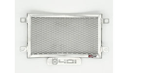 Husqvarna Svartpilen 401 2024-25 Radiator Guard