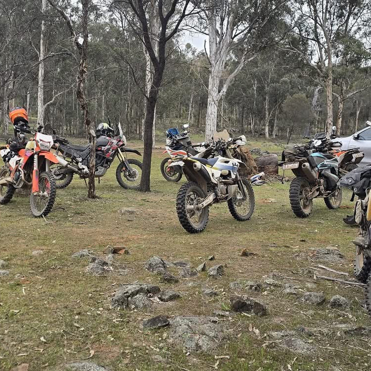 The Best of the South West Tour