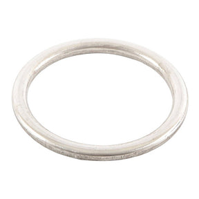 Exhaust Gasket Kit 823089