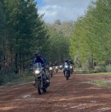 The Best of the South West Tour