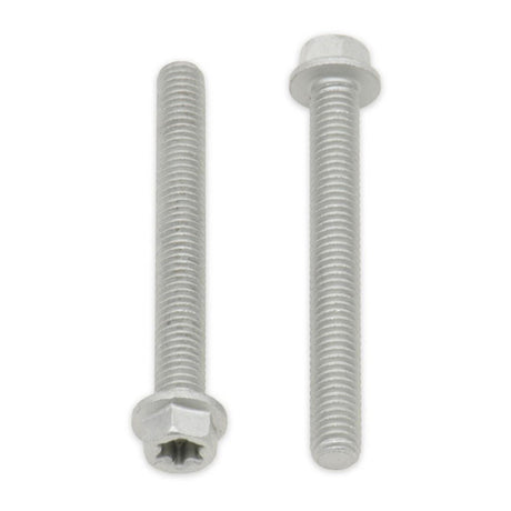 Bolt Euro Torx 6x20mm Flange Bolt (Packet of 10) Refill