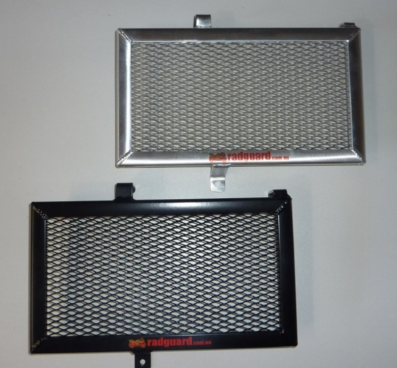 BMW F800S 2006-2012 Radiator Guard