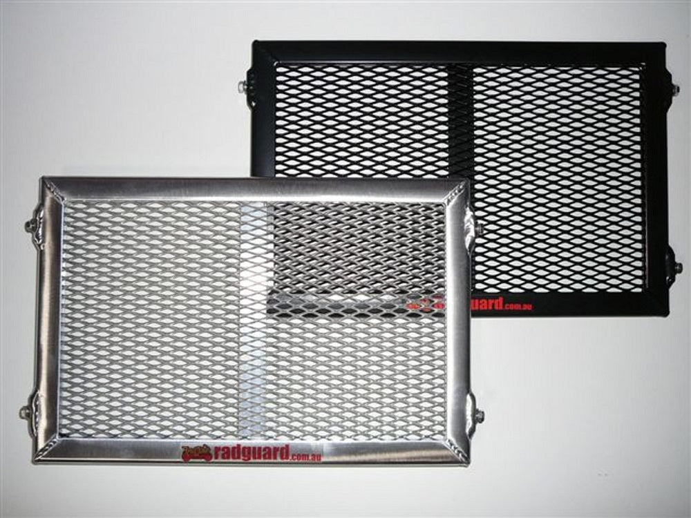 BMW G450X 2008-2011 Radiator Guard