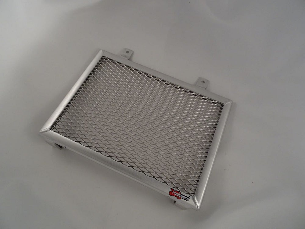 BMW G310 R 2018-2022 Radiator Guard