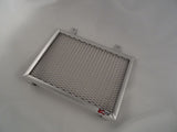 BMW G310 R 2018-2022 Radiator Guard