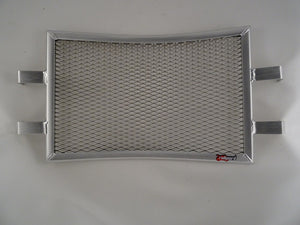 Indian FTR 1200 / S / Rally 2019-2023 Radiator Guard