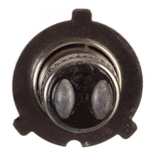 Load image into Gallery viewer, Globe 12V 35/35W H/L Three Pin Halogen (ea)
