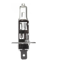 Load image into Gallery viewer, Globe 12V 55W H/L H1 Halogen (ea)