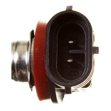 Load image into Gallery viewer, Globe 12V 55W H/L H11 Halogen (ea)