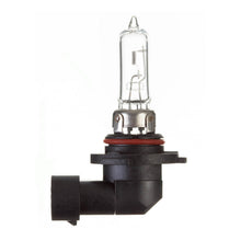 Load image into Gallery viewer, Globe 12V 60W H/L HB3 Plastic Base Halogen (ea)