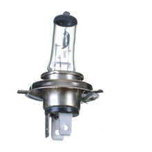 Load image into Gallery viewer, Globe 12V 60/55W H/L H4 Halogen (ea)