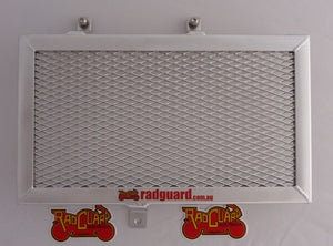 Husqvarna Nuda 900/900R 2011-2014 Radiator Guard