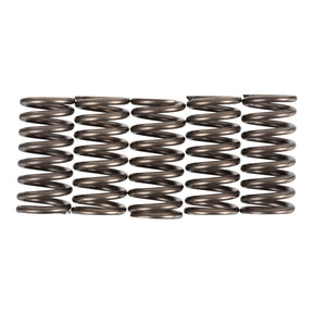 Premier Clutch Springs - Heavy Duty