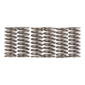 Premier Clutch Springs - Heavy Duty