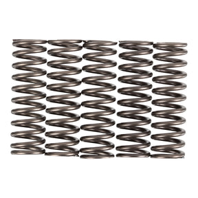 Premier Clutch Springs - Heavy Duty