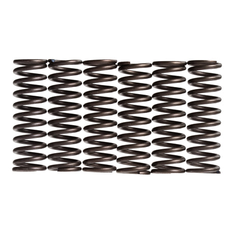 Premier Clutch Springs - Heavy Duty