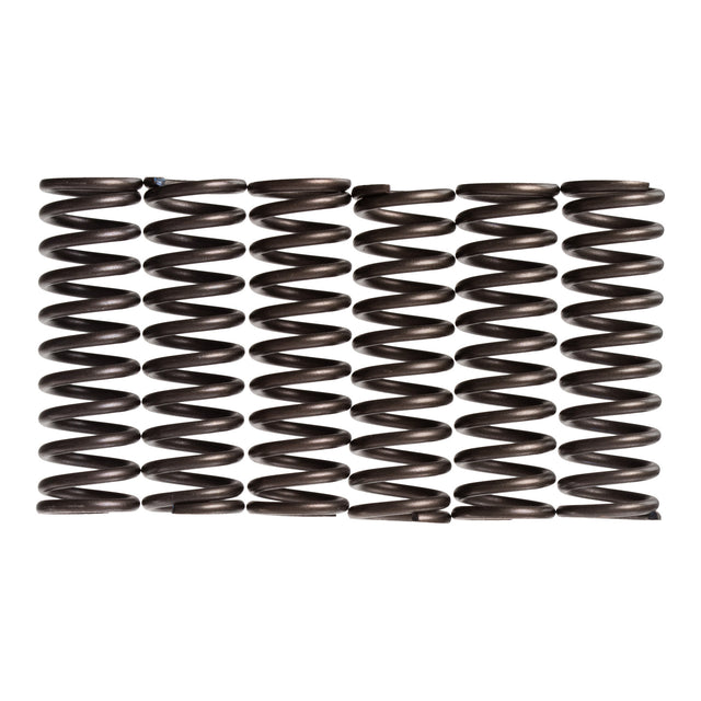 Premier Clutch Springs - Heavy Duty