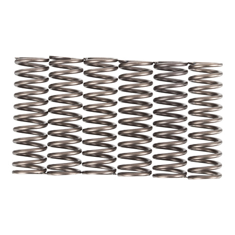 Premier Clutch Springs - Heavy Duty