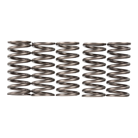 Premier Clutch Springs - Heavy Duty