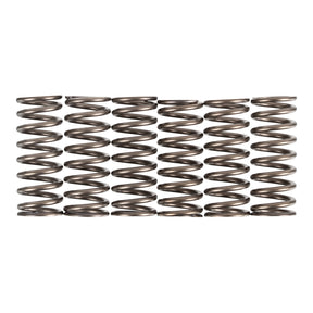 Premier Clutch Springs - Heavy Duty