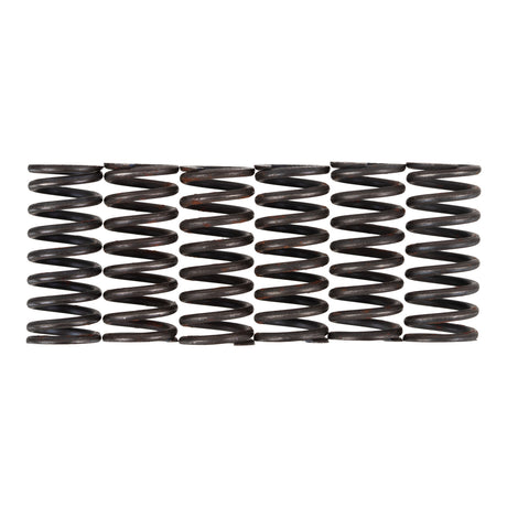 Premier Clutch Springs - Heavy Duty