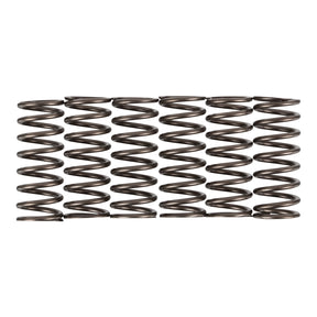 Premier Clutch Springs - Heavy Duty