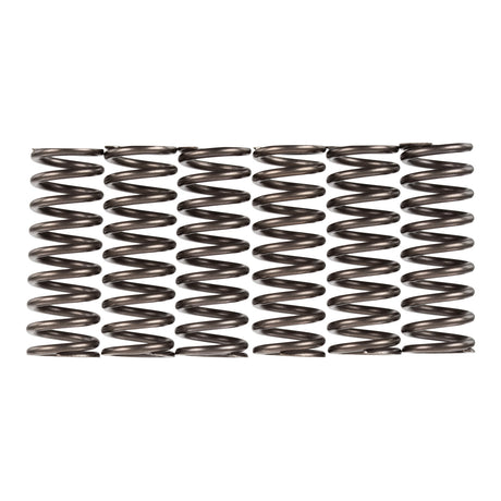 Premier Clutch Springs - Heavy Duty