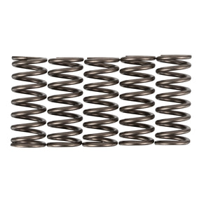 Premier Clutch Springs - Heavy Duty