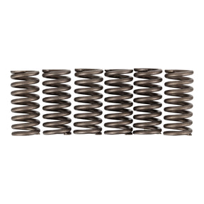 Premier Clutch Springs - Heavy Duty