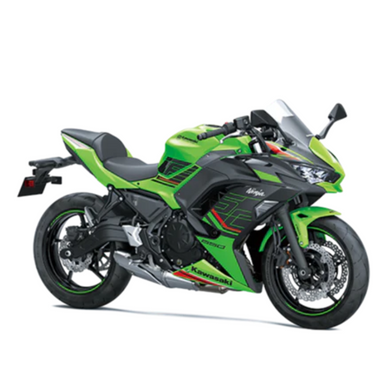 Kawasaki Ninja 500R 2024-25 Radiator Guard