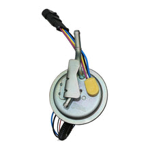 Load image into Gallery viewer, Quantum In-Tank EFI Fuel Pump with Assembly