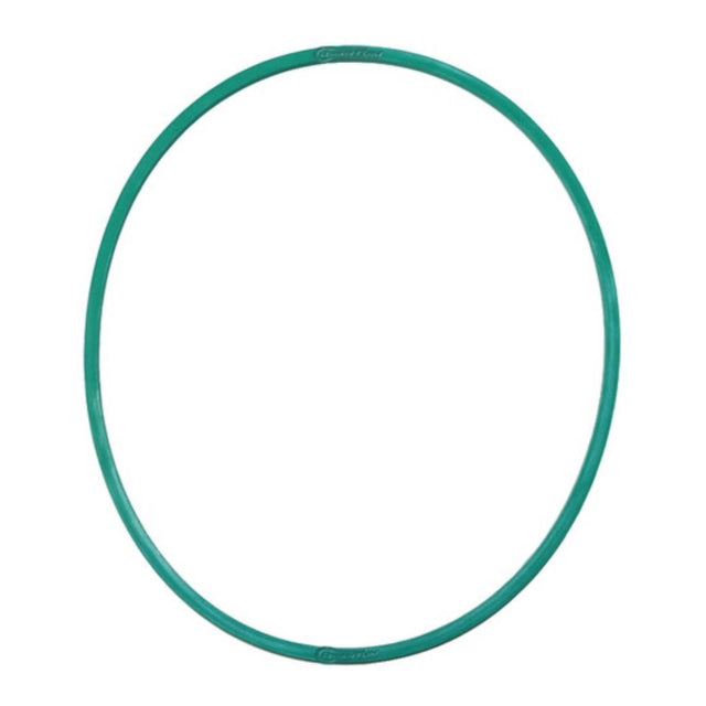 Quantum Fuel Pump Seal Gasket