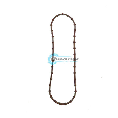 Quantum Fuel Pump Tank Seal Gasket