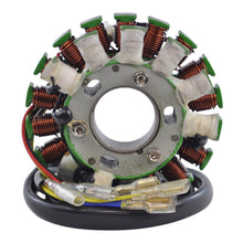 Load image into Gallery viewer, IMPROVED STATOR HUSA, HUSQ EURO MODELS 99-03 (RM01193)