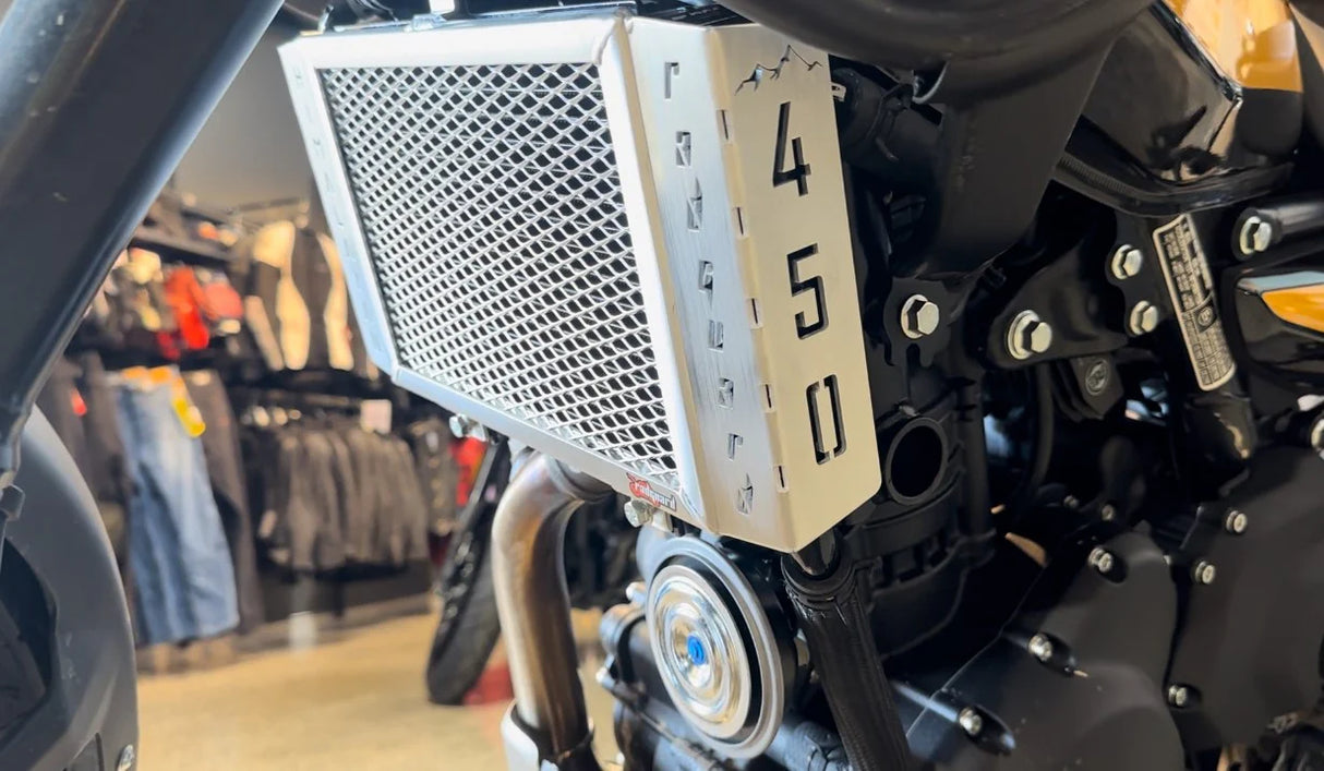 Royal Enfield Himalayan 450 Radiator Guard 2024-25