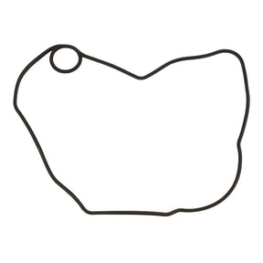 Ignition Cover Gasket Kit 816330